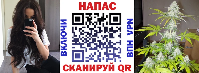 Продажа наркотиков Теберда СК  Псилоцибиновые грибы  ГАШ  МАРИХУАНА  Меф 