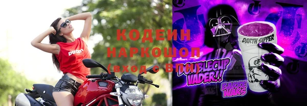 стафф Арсеньев