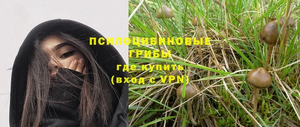 MESCALINE Аркадак