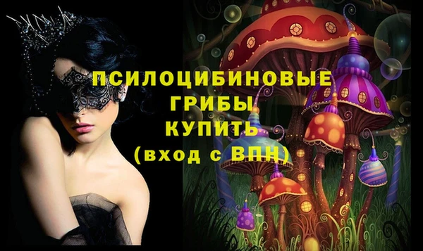 стафф Арсеньев