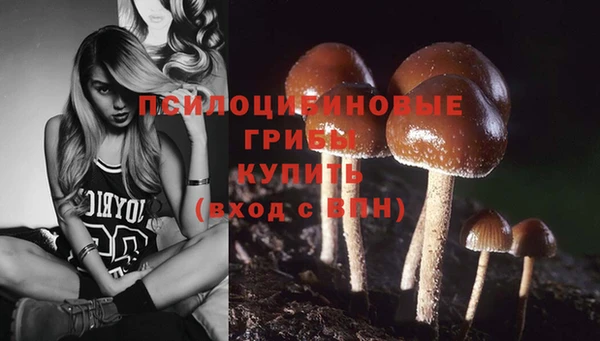 мескалин Балахна