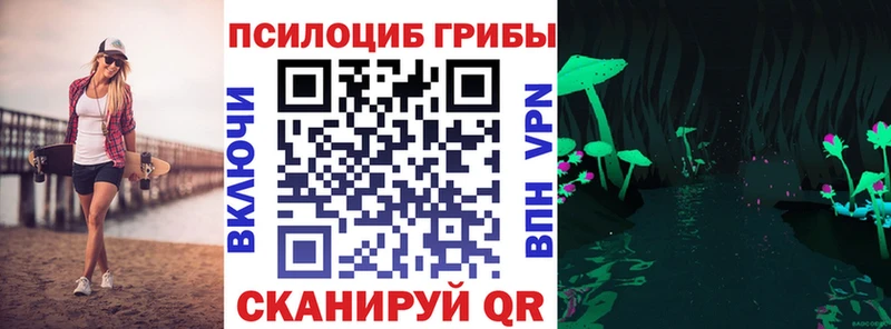 цена   Теберда  Псилоцибиновые грибы Magic Shrooms 